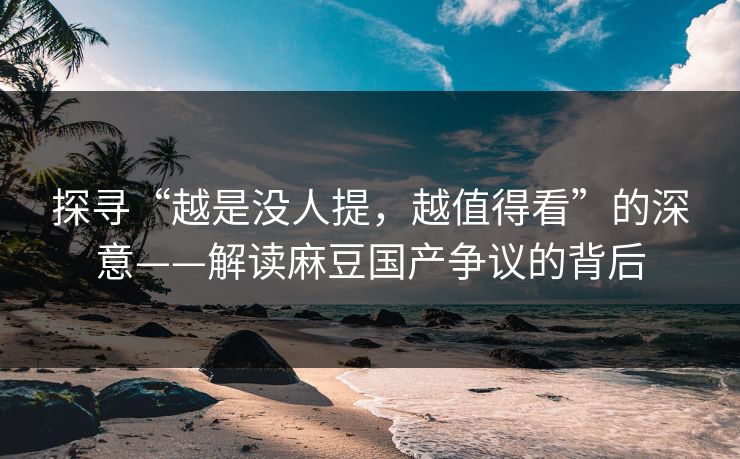 探寻“越是没人提，越值得看”的深意——解读麻豆国产争议的背后