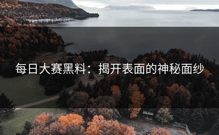 每日大赛黑料：揭开表面的神秘面纱
