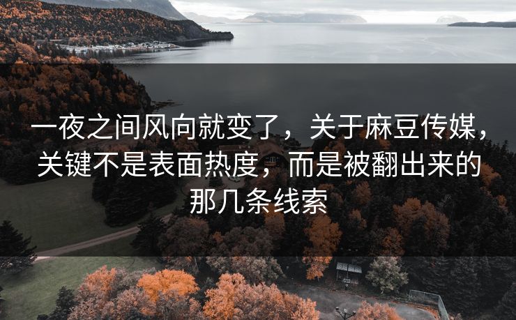一夜之间风向就变了，关于麻豆传媒，关键不是表面热度，而是被翻出来的那几条线索